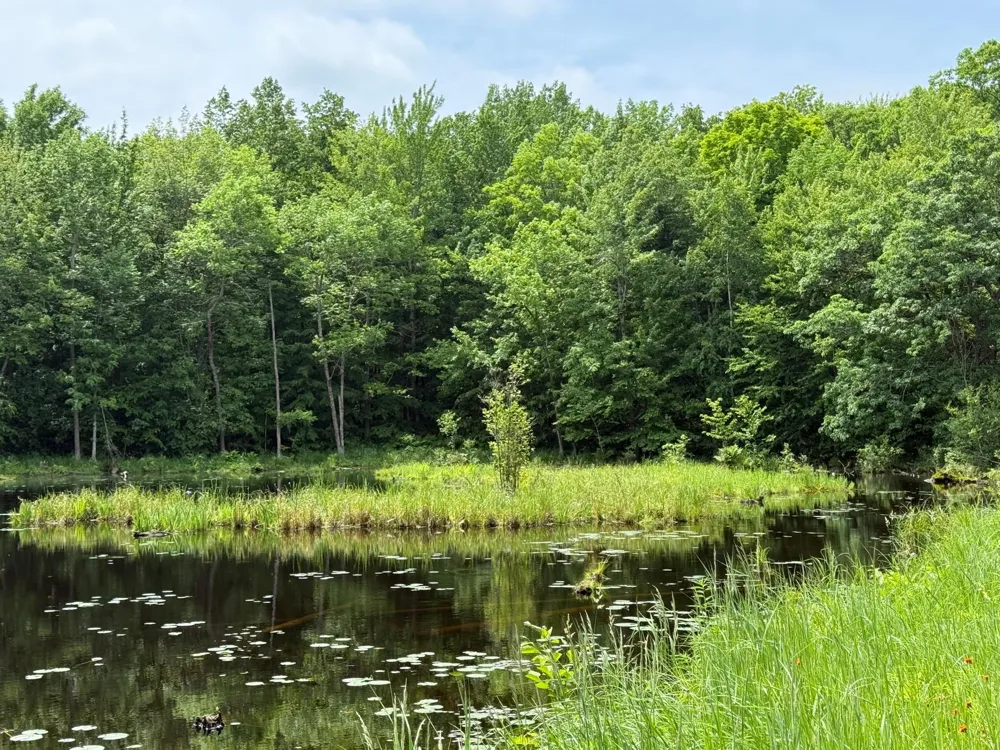 N1785 Lehman Lake Road Shell Lake, WI 54871