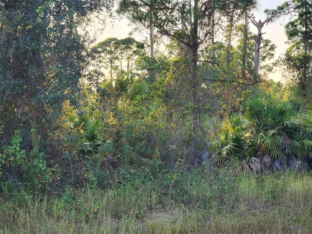 842 Genoa Avenue Lehigh Acres, FL 33974