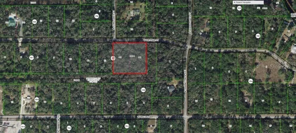 11924 W DEODAR STREET Crystal River, FL 34428