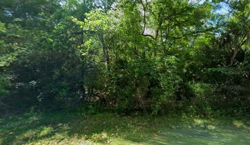 11924 W DEODAR STREET Crystal River, FL 34428
