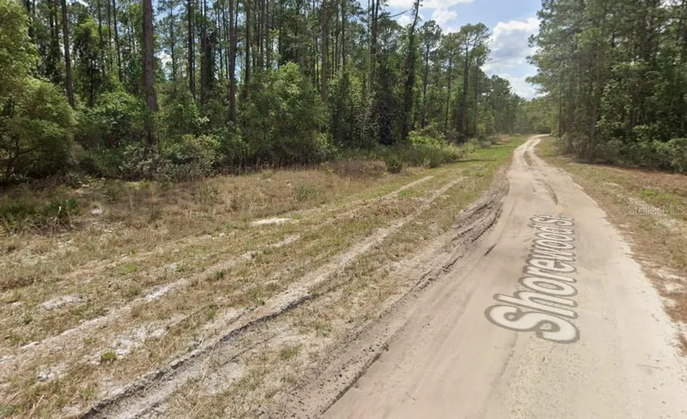 136 SHOREWOOD STREET Georgetown, FL 32139