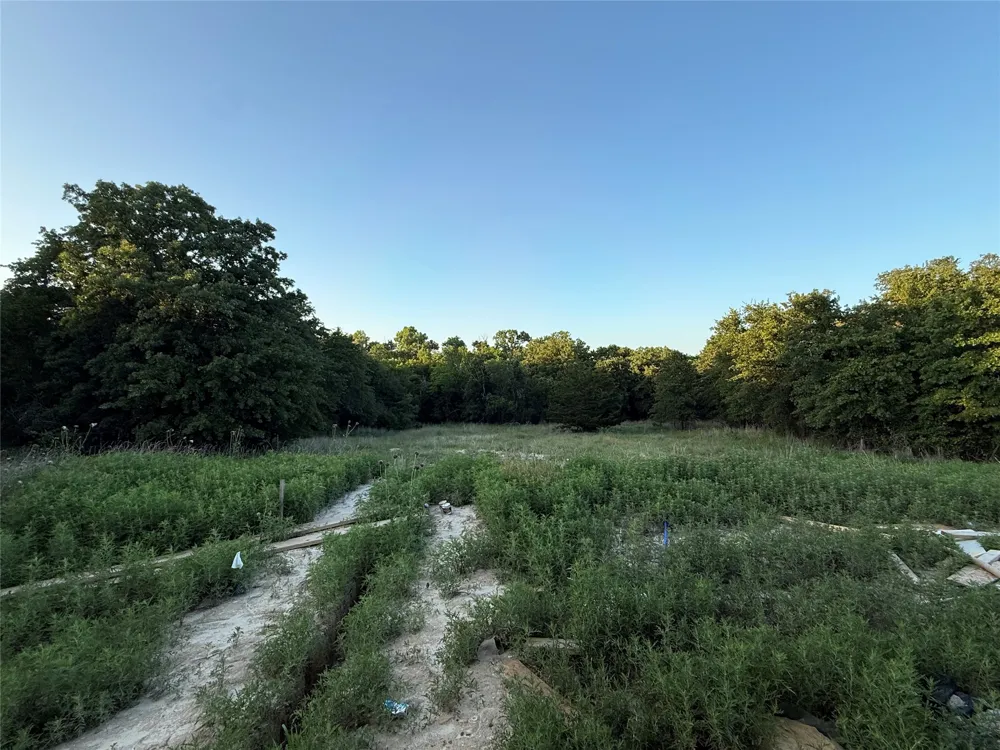 281 Zebrastone Way Poolville, TX 76487