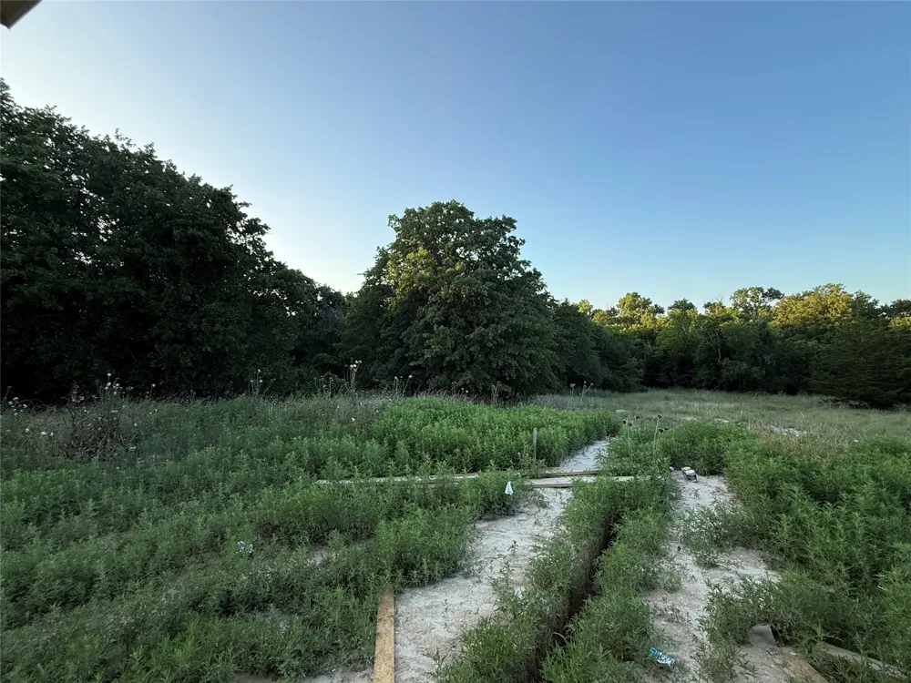 281 Zebrastone Way Poolville, TX 76487