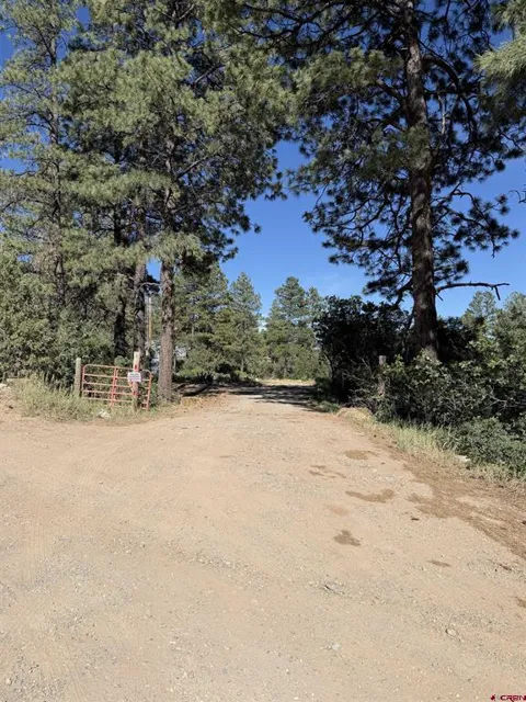 950 Deer Trial Road