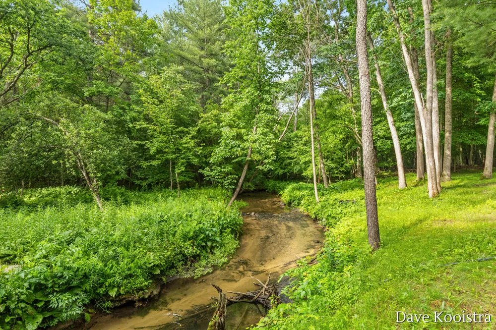 5133 Streamside Court NE Courtland Township, MI 49341