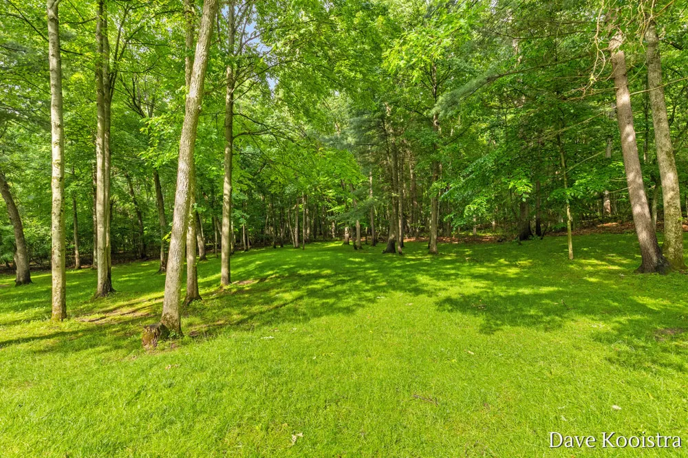 5133 Streamside Court NE Courtland Township, MI 49341