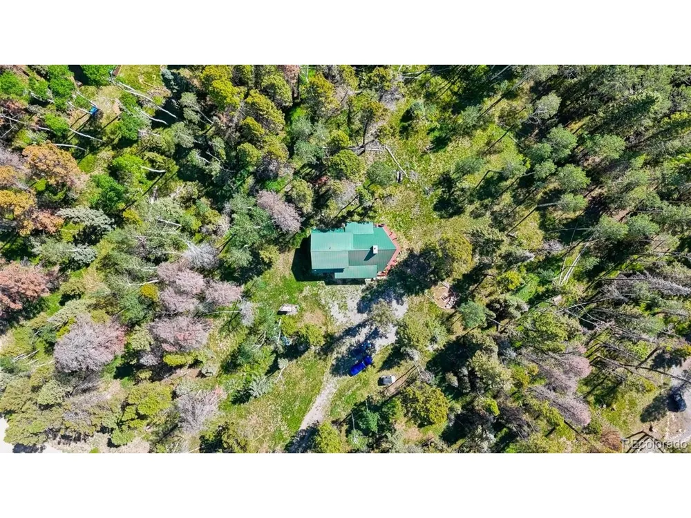 1380 Spruce Road Cimarron, CO 81220