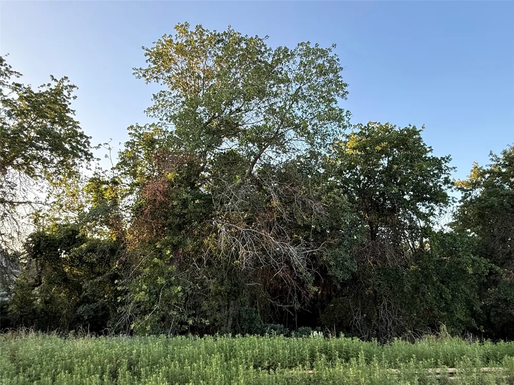 277 Zebrastone Way Poolville, TX 76487