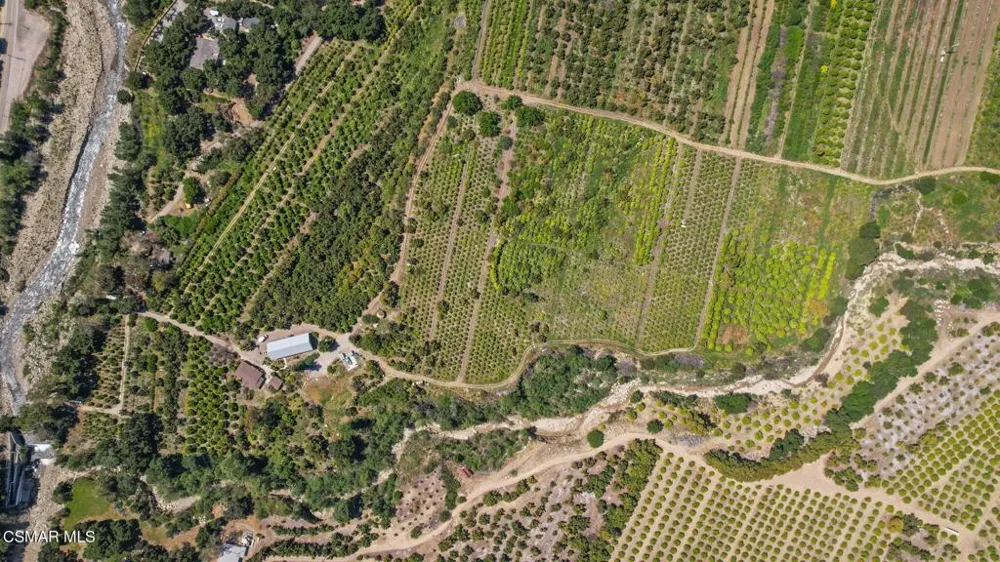 5682 Pine Grove Road Santa Paula, CA 93060