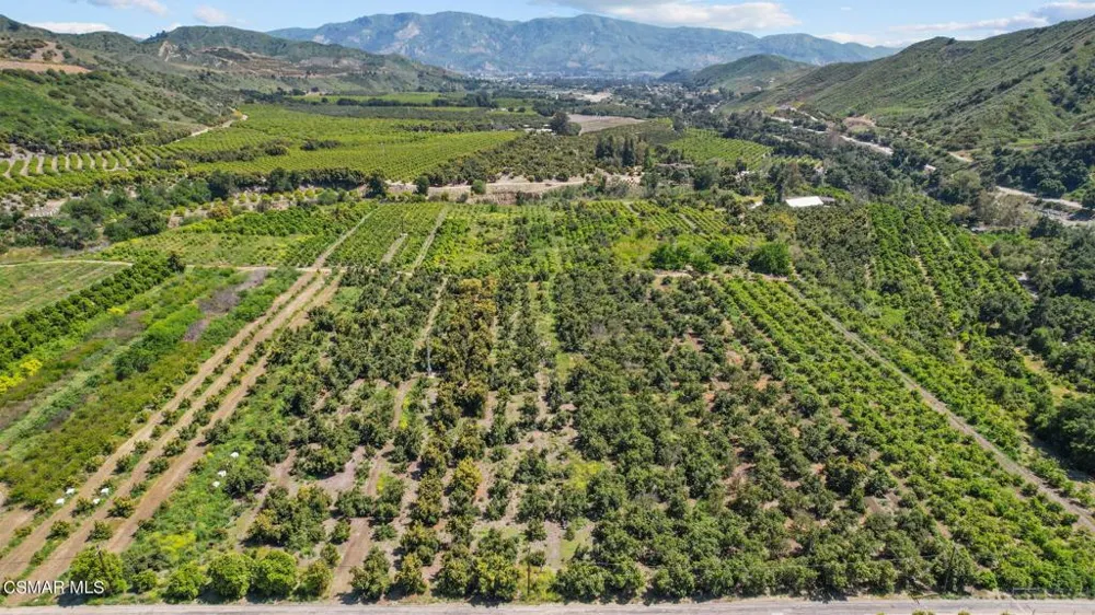 5682 Pine Grove Road Santa Paula, CA 93060
