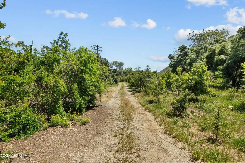 5682 Pine Grove Road Santa Paula, CA 93060