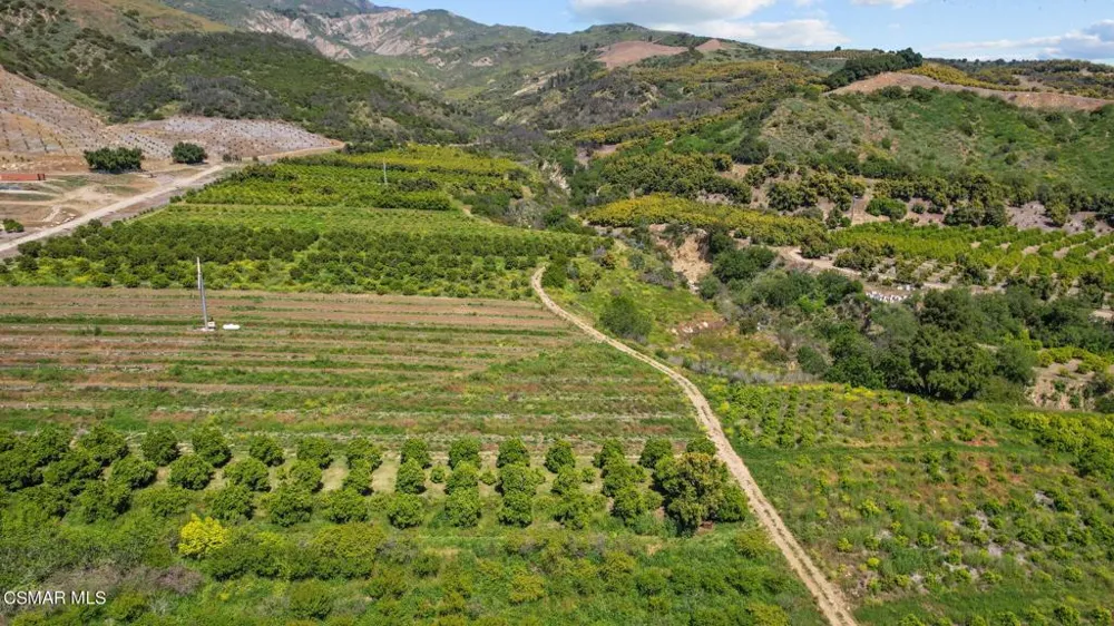 5682 Pine Grove Road Santa Paula, CA 93060