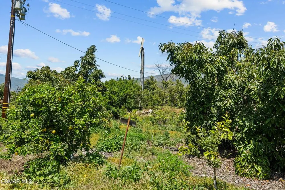 5682 Pine Grove Road Santa Paula, CA 93060