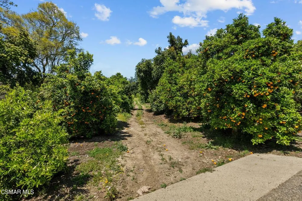 5682 Pine Grove Road Santa Paula, CA 93060