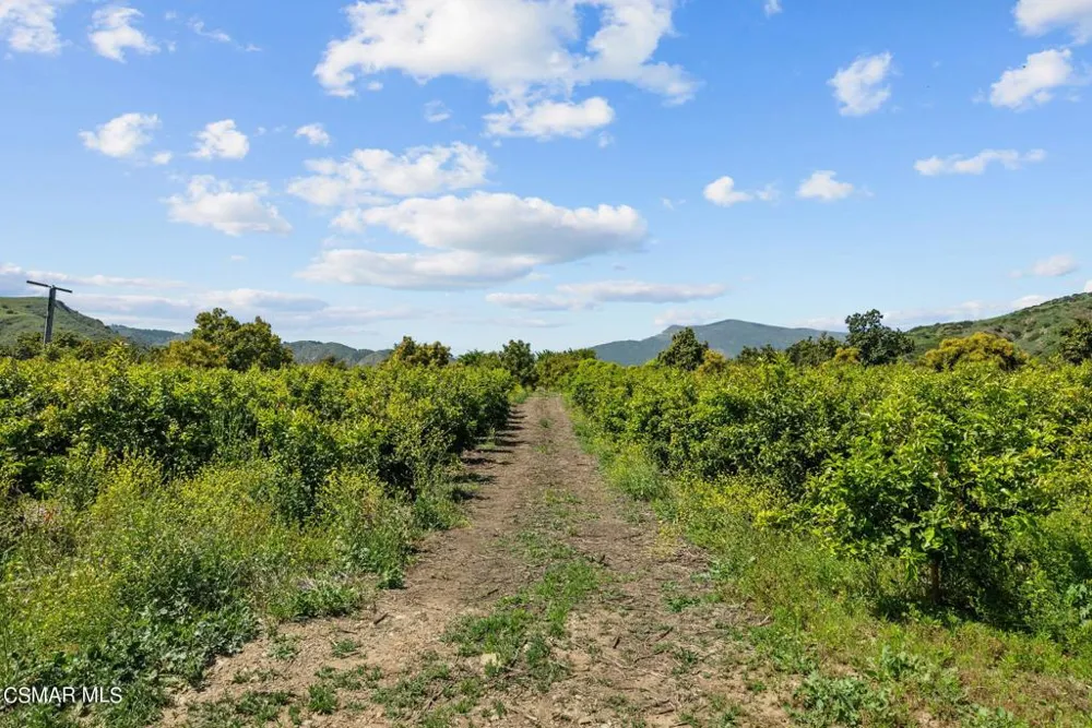5682 Pine Grove Road Santa Paula, CA 93060