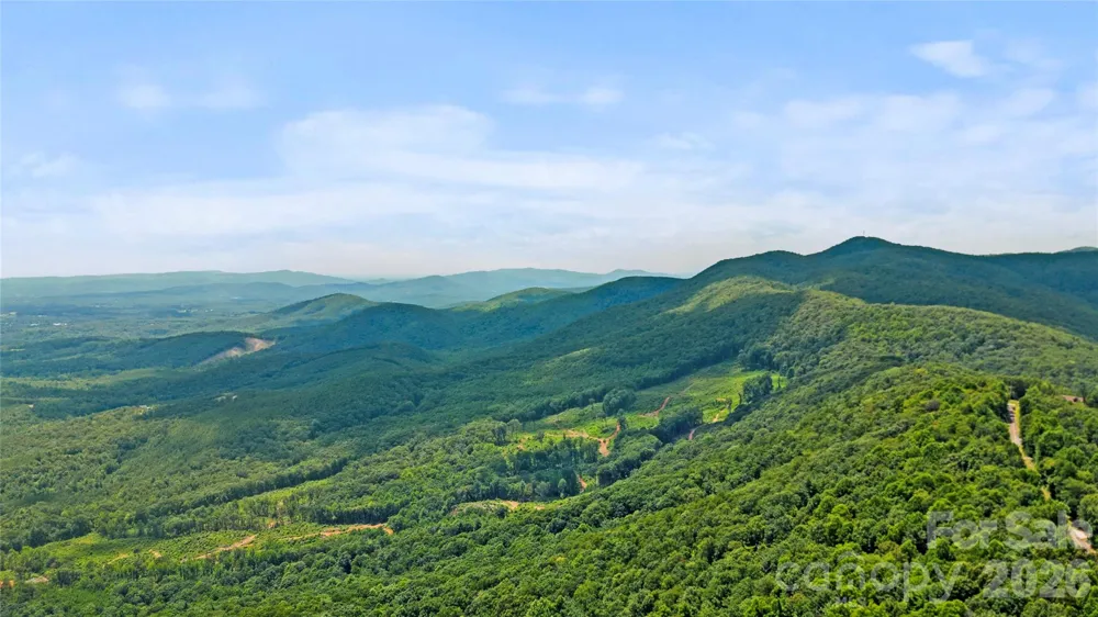 5545 Pine Ridge Drive Connelly Springs, NC 28612