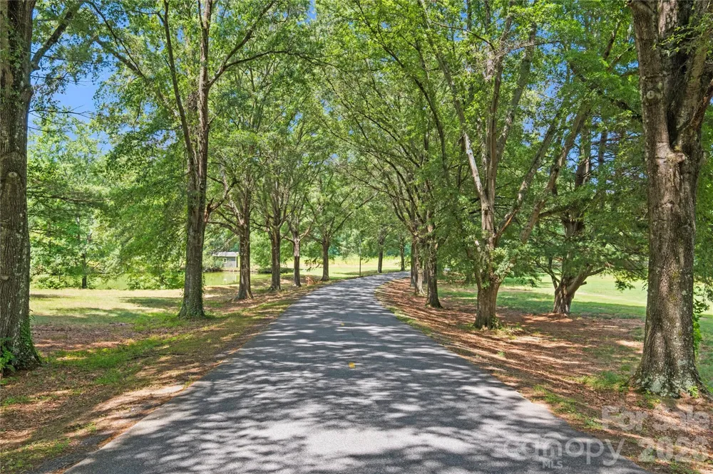 5545 Pine Ridge Drive Connelly Springs, NC 28612