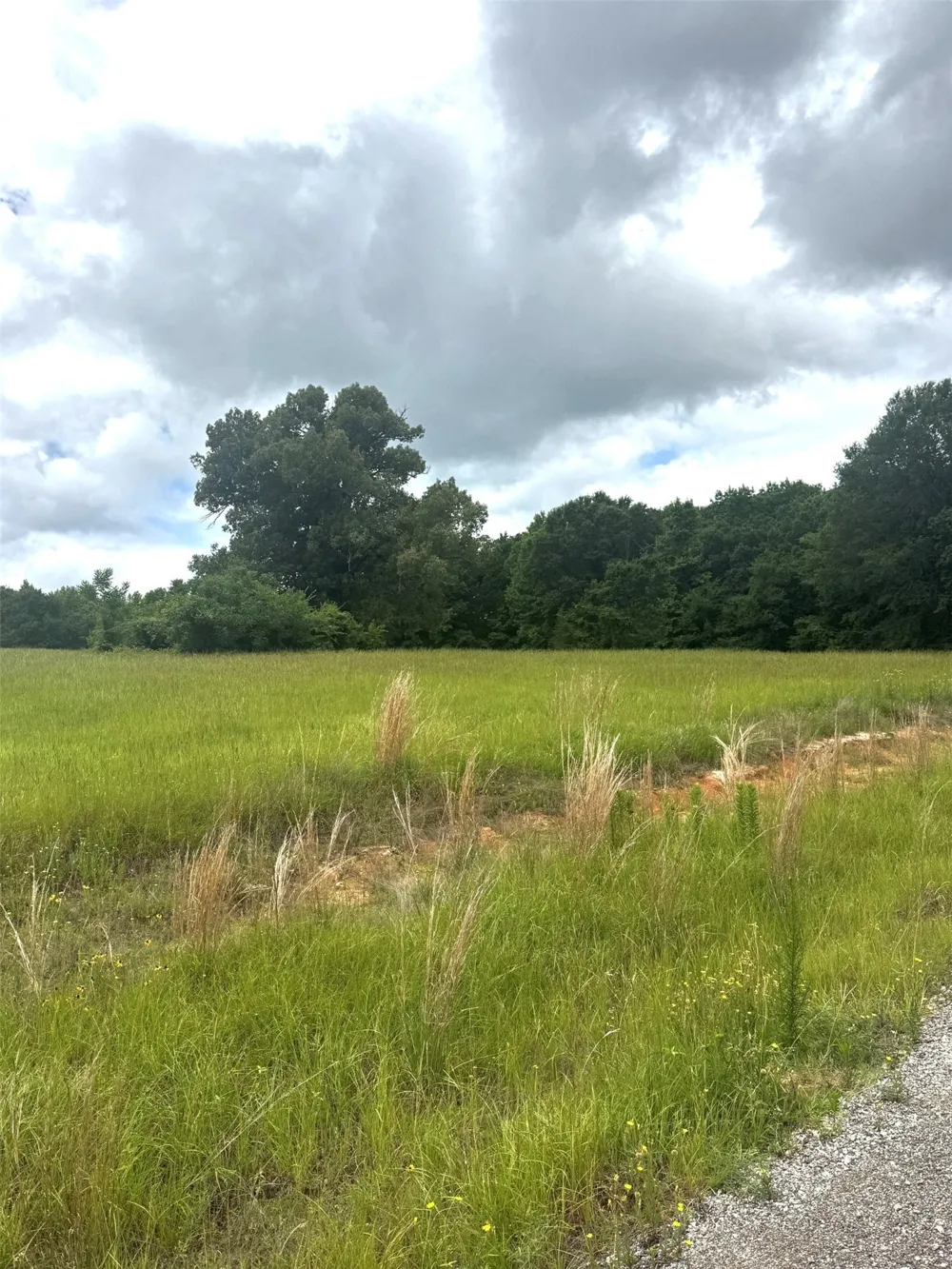 Belles Lane Brownsboro, TX 75756