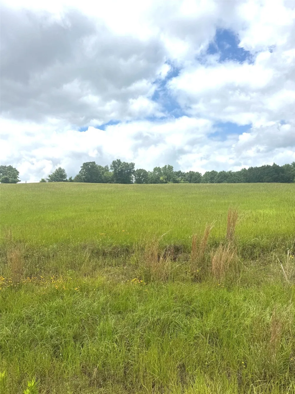 Belles Lane Brownsboro, TX 75756