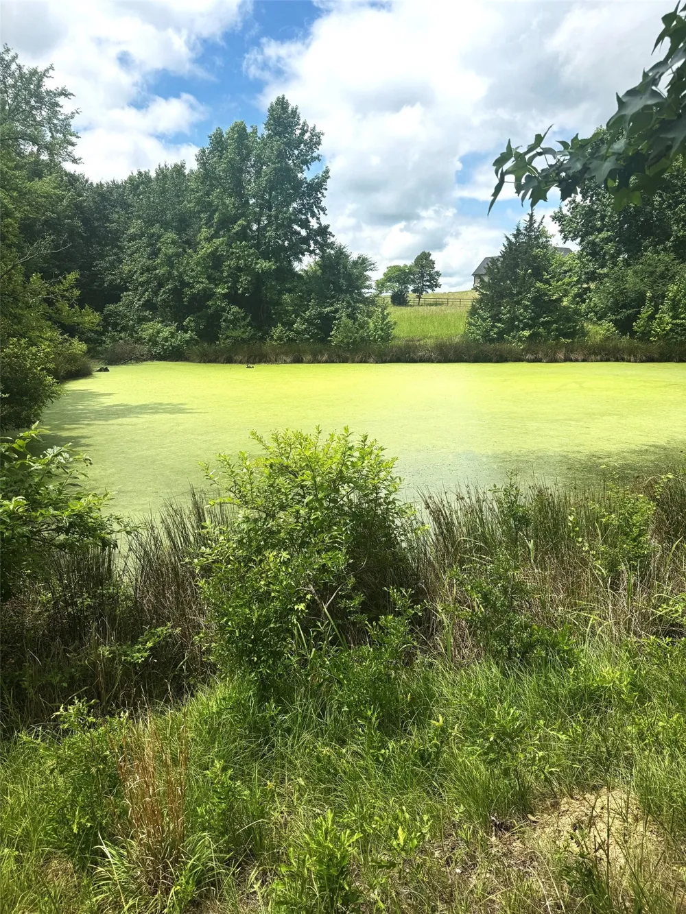 Belles Lane Brownsboro, TX 75756