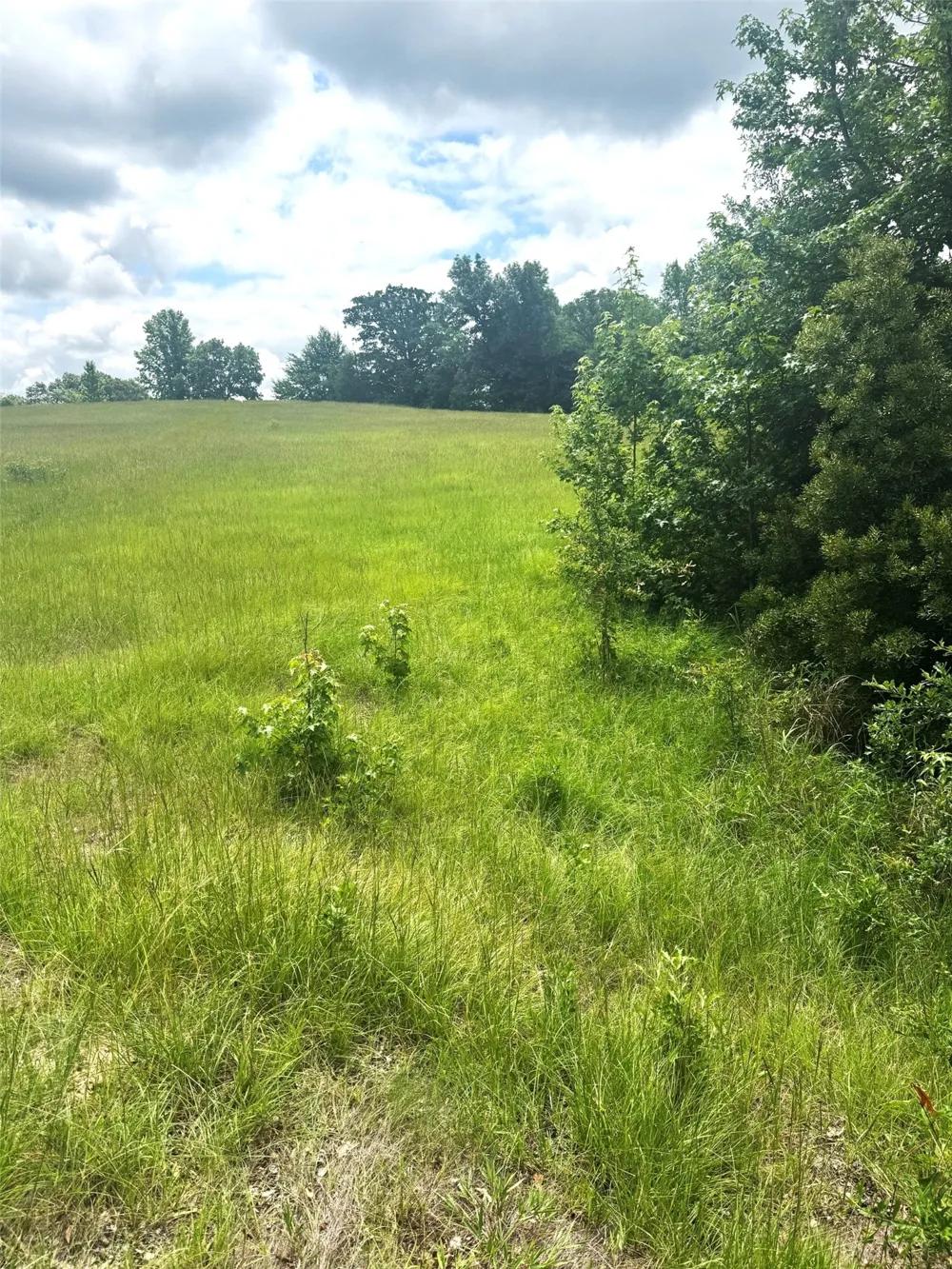 Belles Lane Brownsboro, TX 75756