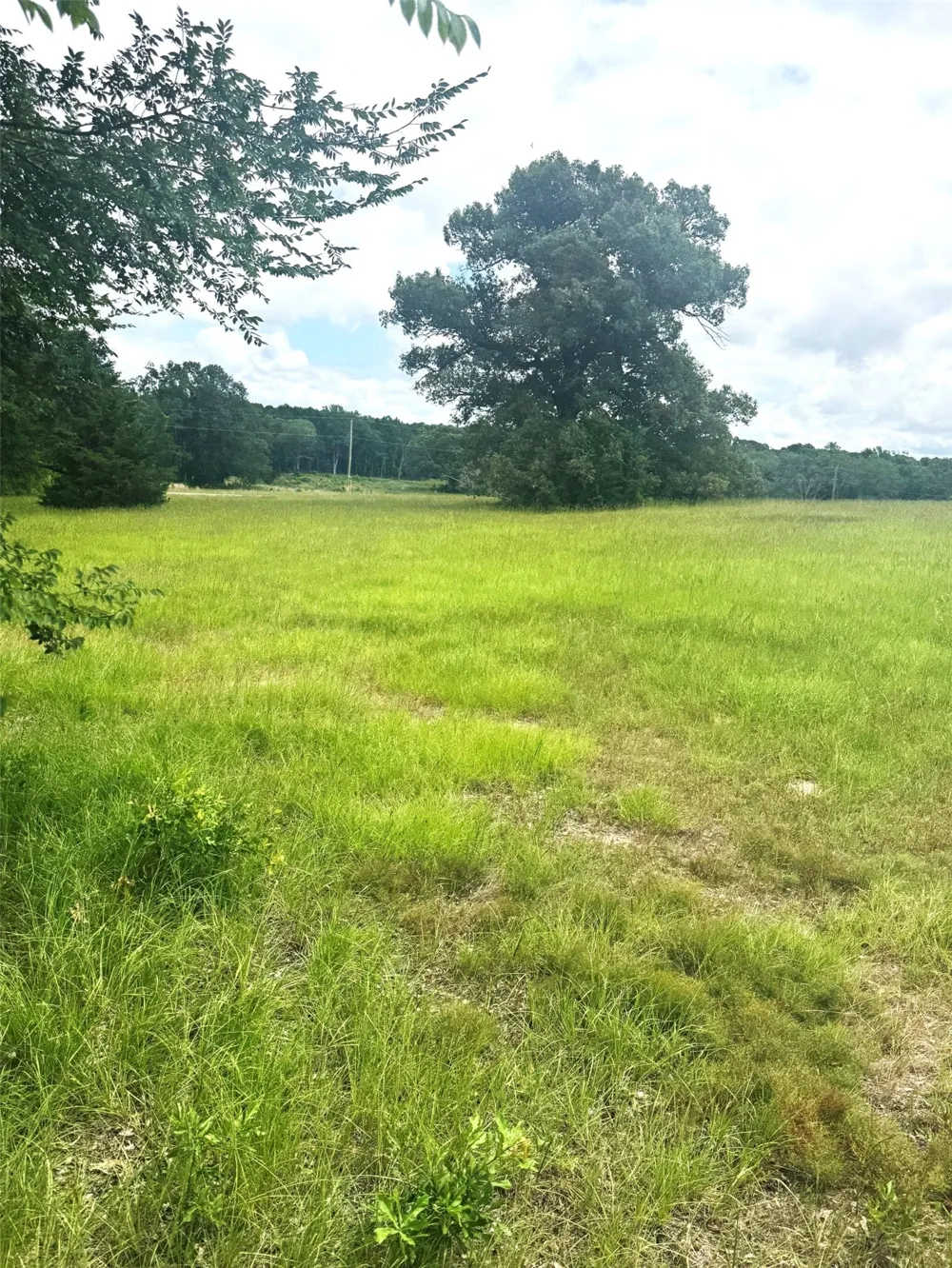Belles Lane Brownsboro, TX 75756