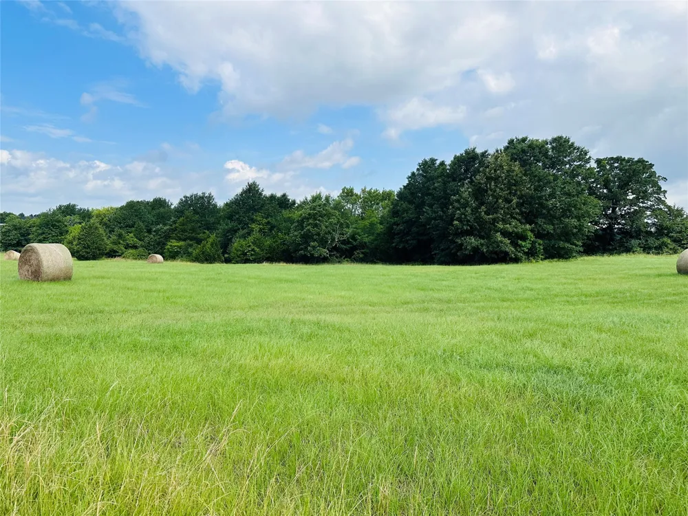 Belles Lane Brownsboro, TX 75756