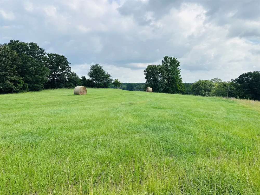 Belles Lane Brownsboro, TX 75756