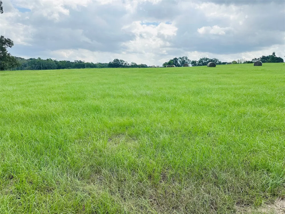 Belles Lane Brownsboro, TX 75756