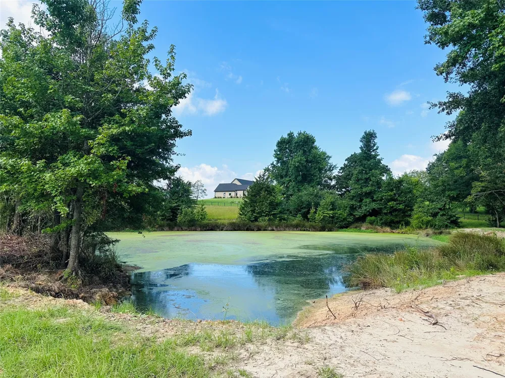 Belles Lane Brownsboro, TX 75756