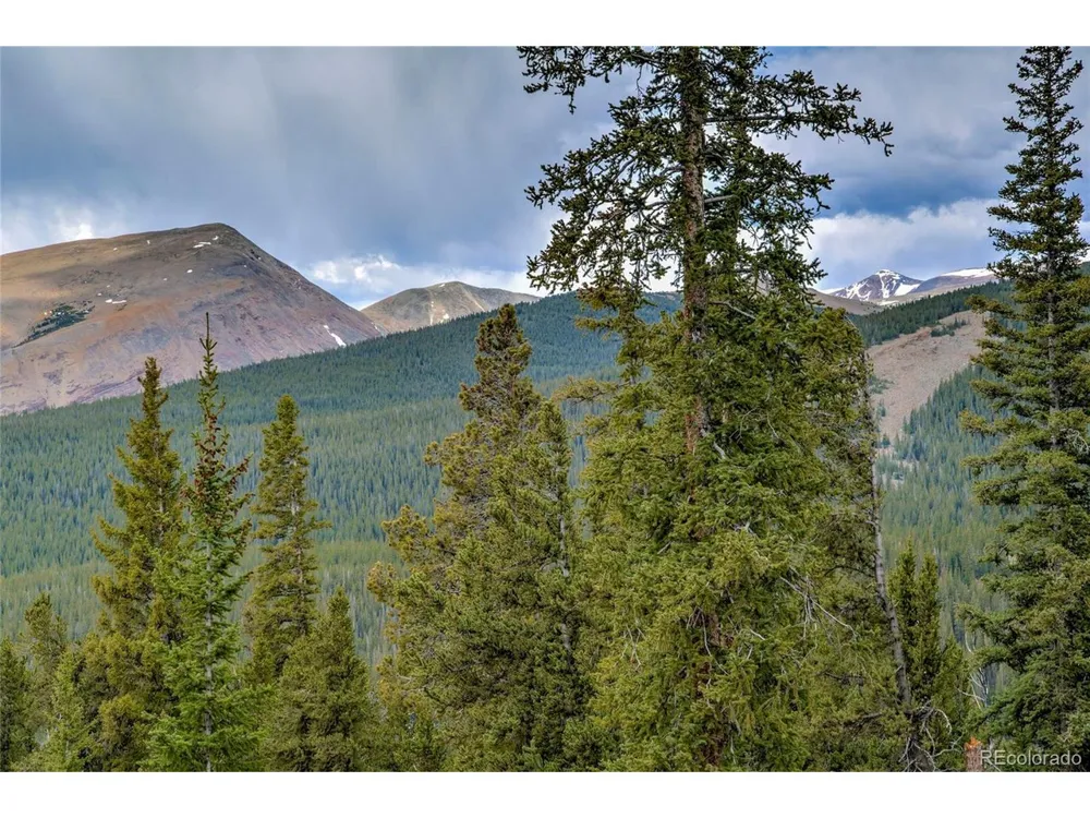 790 Mountain View Drive Fairplay, CO 80440
