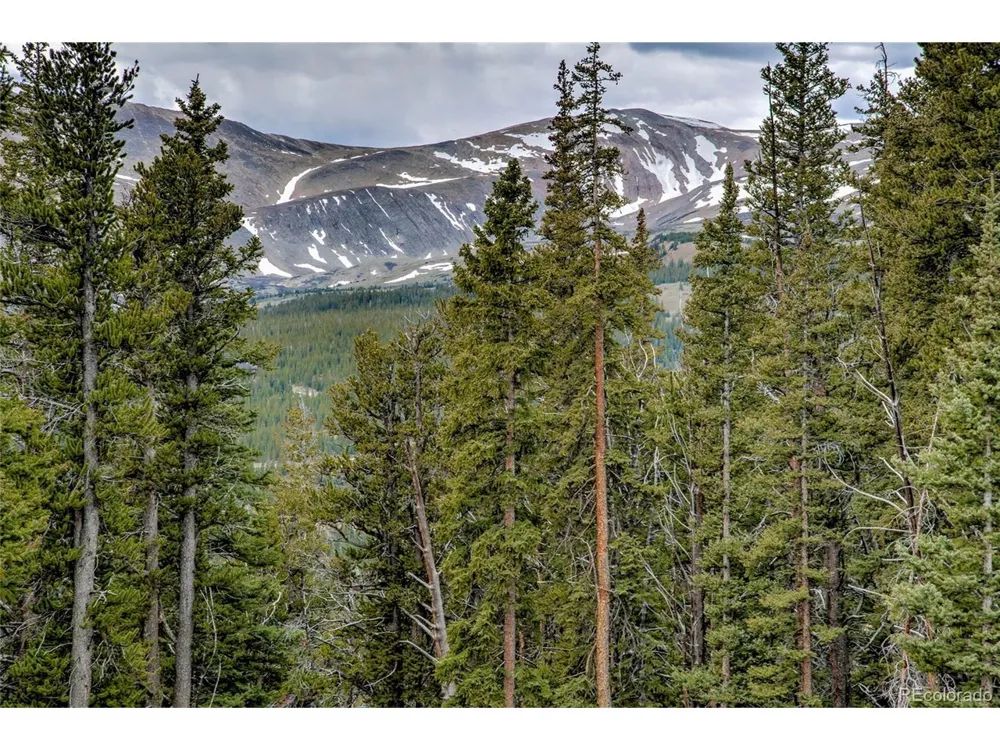 790 Mountain View Drive Fairplay, CO 80440