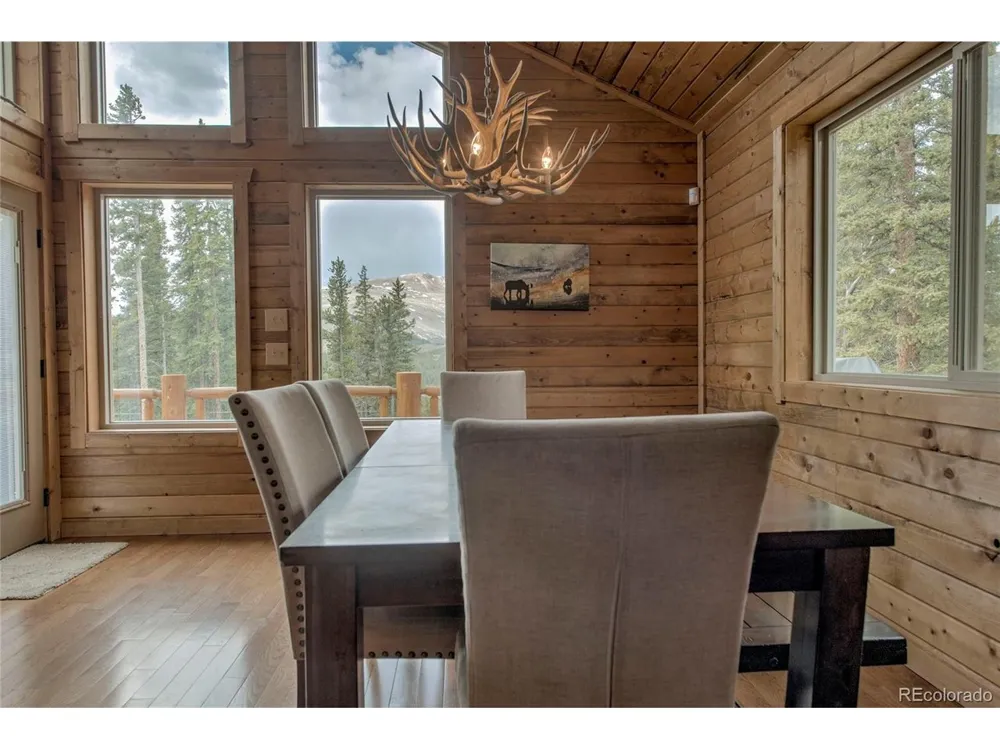 790 Mountain View Drive Fairplay, CO 80440