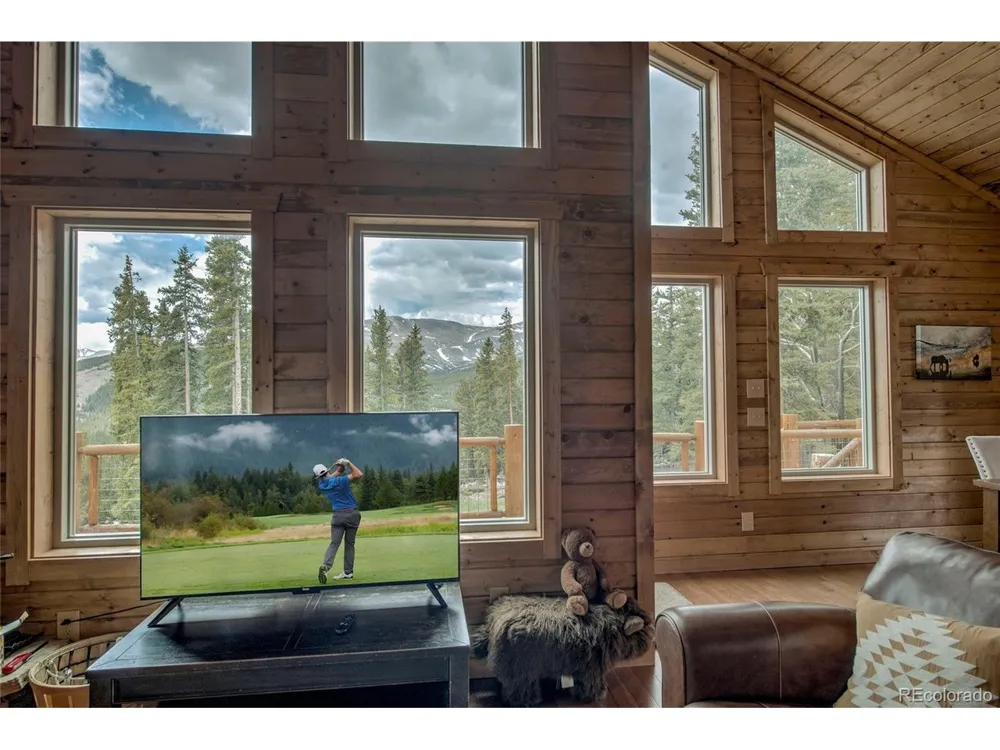790 Mountain View Drive Fairplay, CO 80440