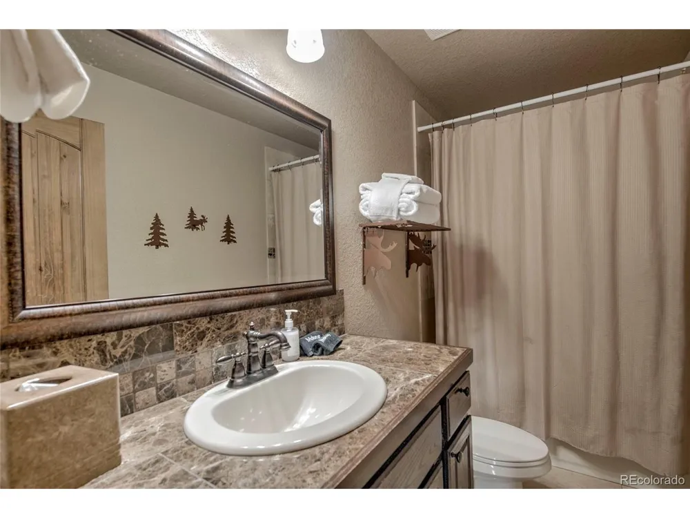 790 Mountain View Drive Fairplay, CO 80440