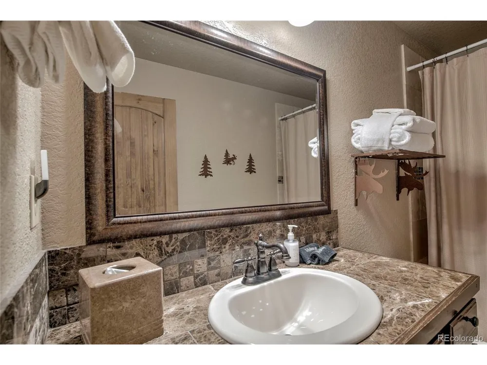 790 Mountain View Drive Fairplay, CO 80440