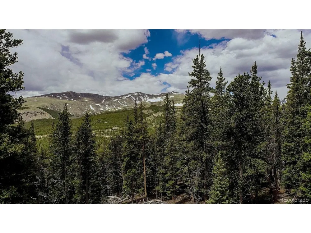 790 Mountain View Drive Fairplay, CO 80440