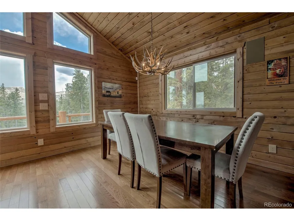 790 Mountain View Drive Fairplay, CO 80440