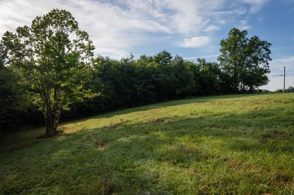 7810 W Lick Creek Rd Primm Springs, TN 38476