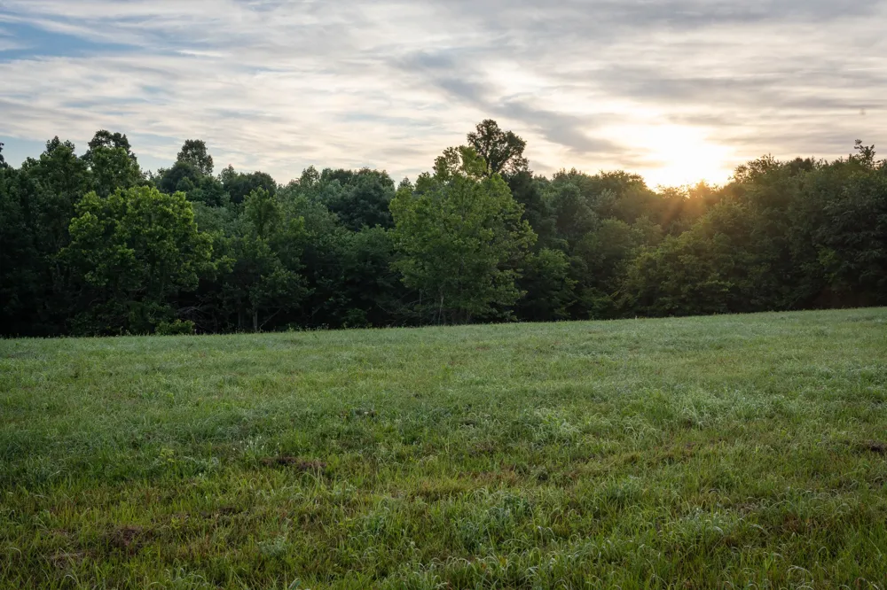 7810 W Lick Creek Rd Primm Springs, TN 38476