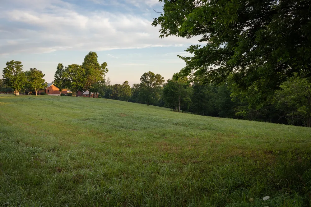 7810 W Lick Creek Rd Primm Springs, TN 38476