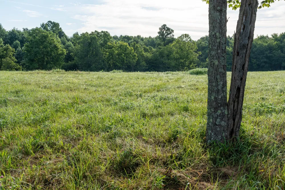 7810 W Lick Creek Rd Primm Springs, TN 38476