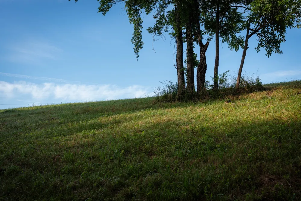 7810 W Lick Creek Rd Primm Springs, TN 38476