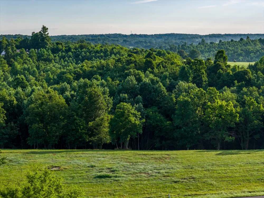 7810 W Lick Creek Rd Primm Springs, TN 38476