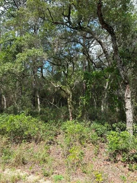TBA SW WINDING HILLS ROAD