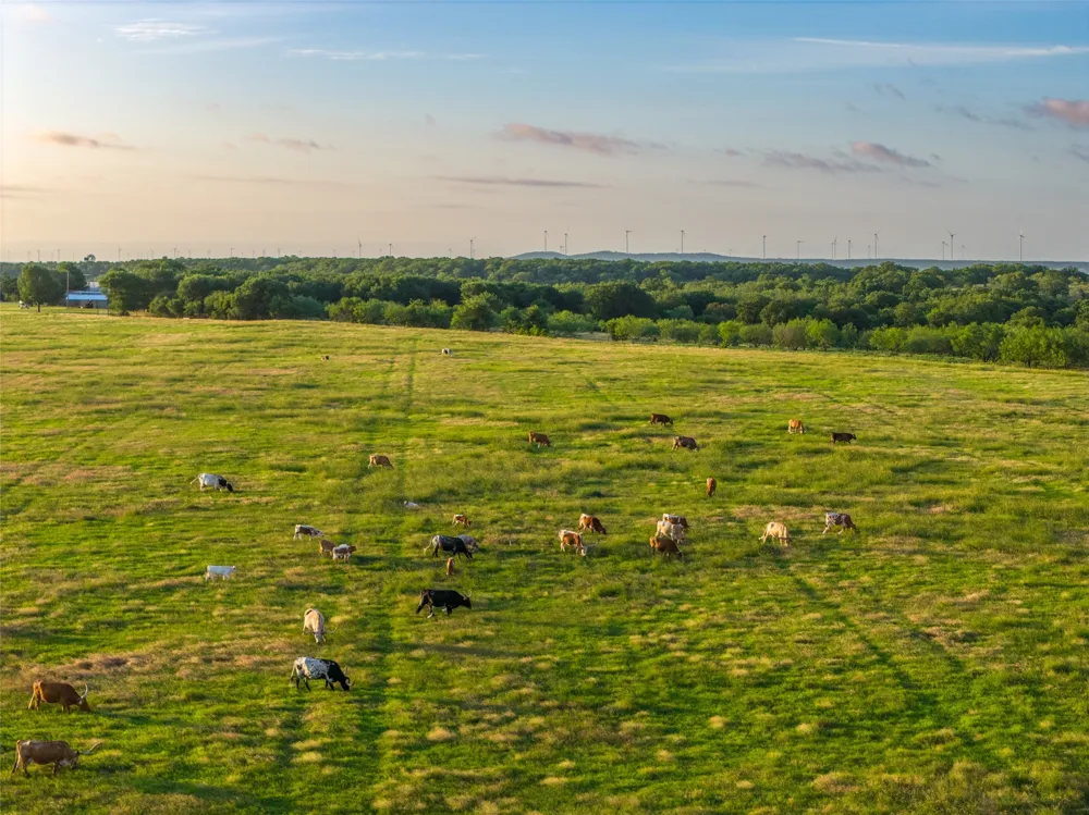 5908 Tx-16 Graham, TX 76450