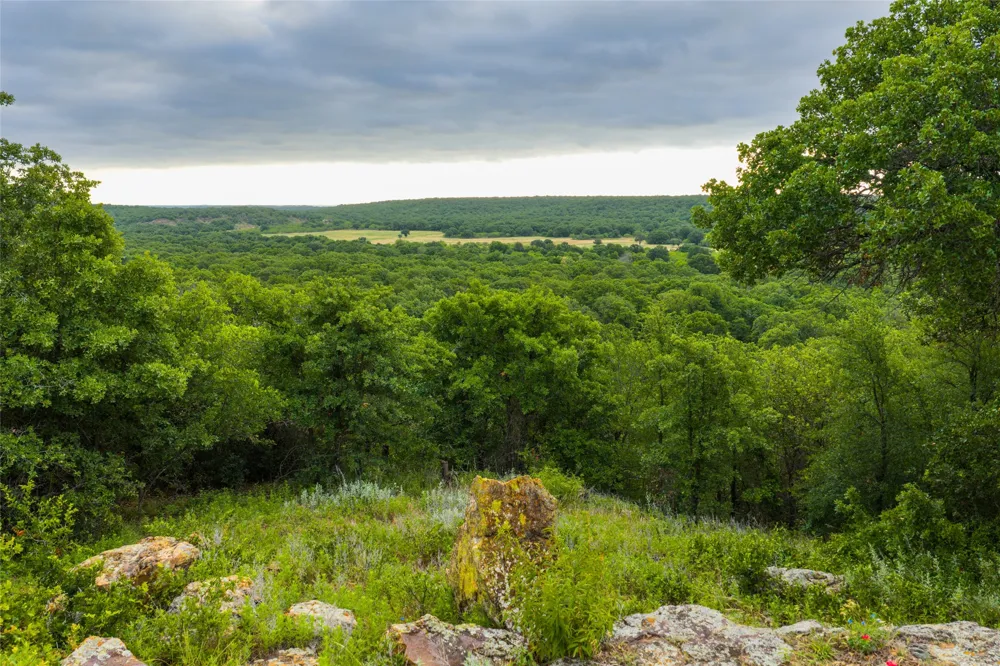 5908 Tx-16 Graham, TX 76450