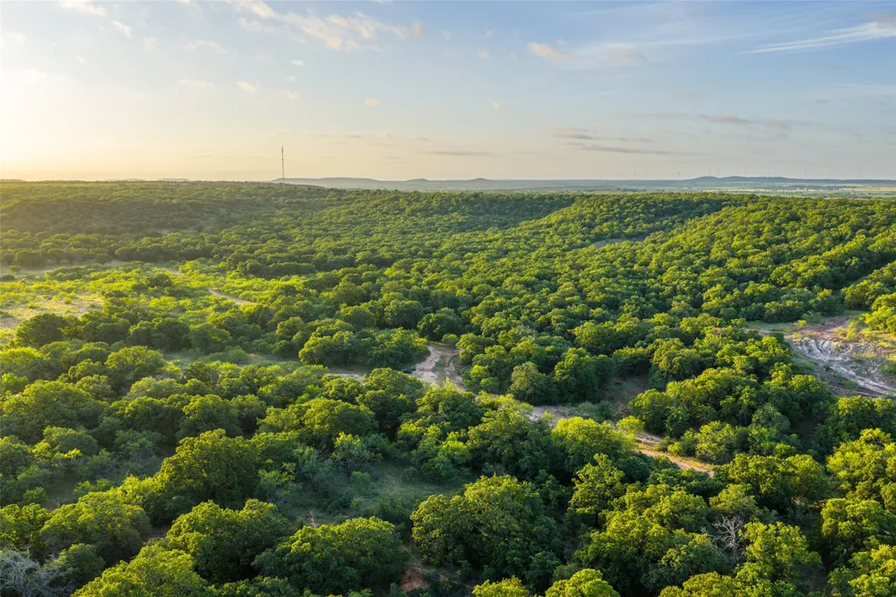 5908 Tx-16 Graham, TX 76450