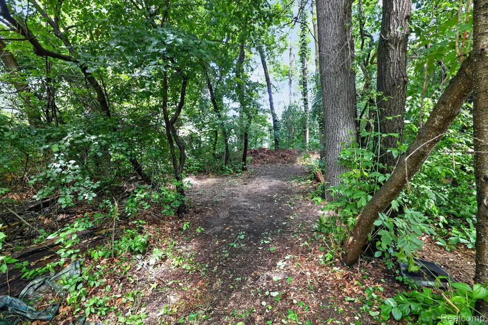 423 Sunset White Lake Charter Township, MI 48383