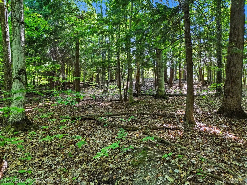 125 Legend Trail Custer Township, MI 49615